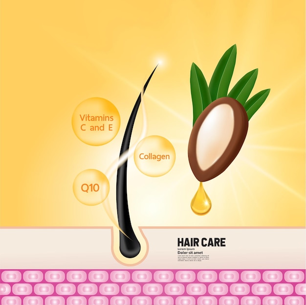 Vector argan extract for hair product illustration
