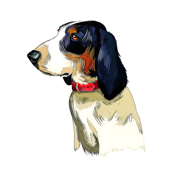 Ariegeois hond aquarel schets hand getekende illustratie