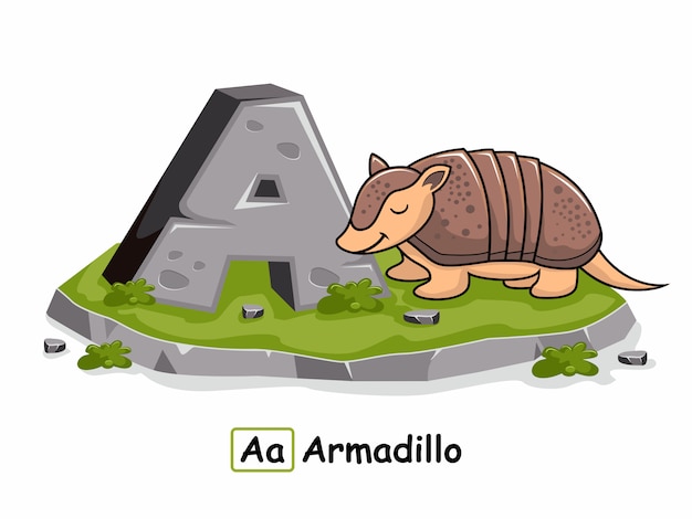 Armadillo Animals Alphabet Rock Stone