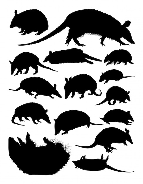 Armadillos animal silhouettes.