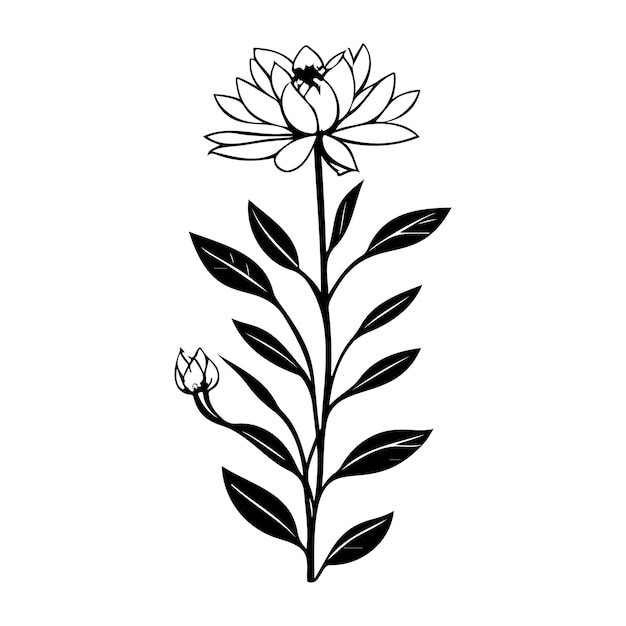 Vector armeria icon hand draw black colour plant leaf logo symbol perfect