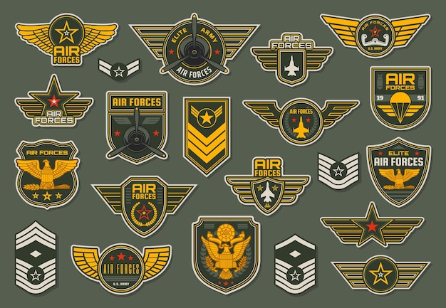 Vector army air forces airborne units badges and chevron