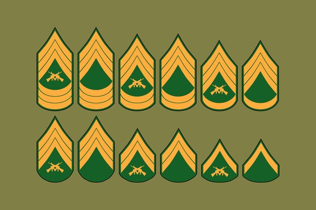 Vector army enlisted rank design vector flat illustration