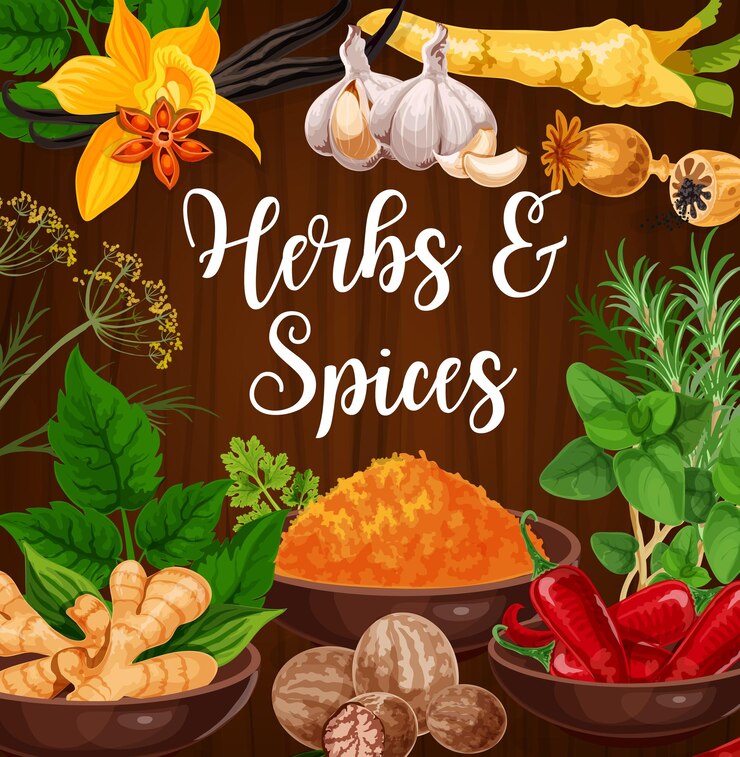 Vector aromatic kitchen herbs and exotic spices