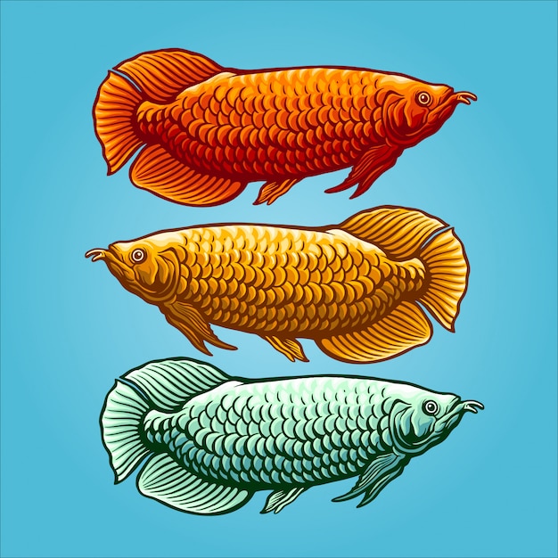 Вектор Иллюстрация arowana fish