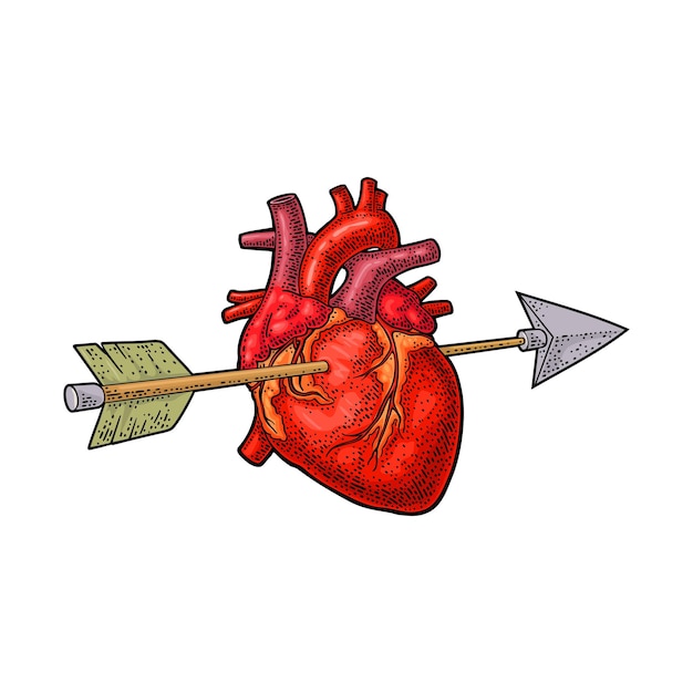 La freccia ha trafitto il cuore illustrazione dell'incisione dell'annata di vettore