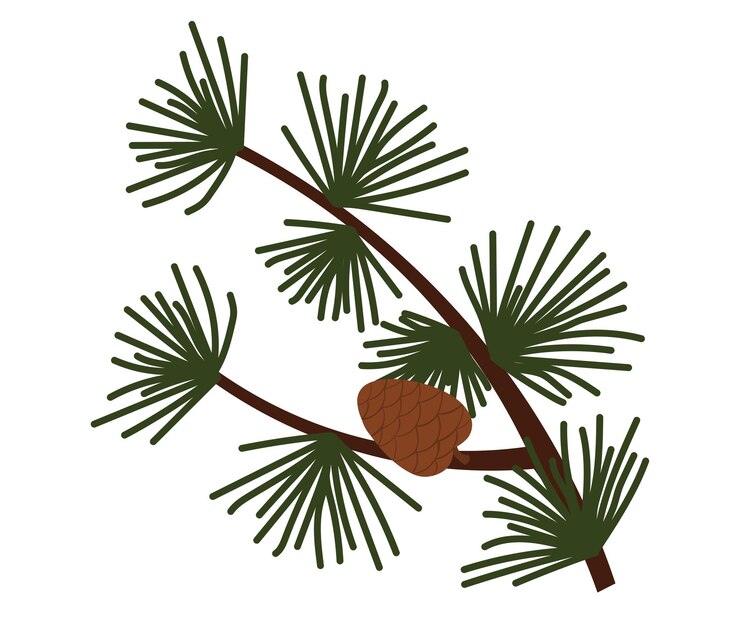 Vector arrow