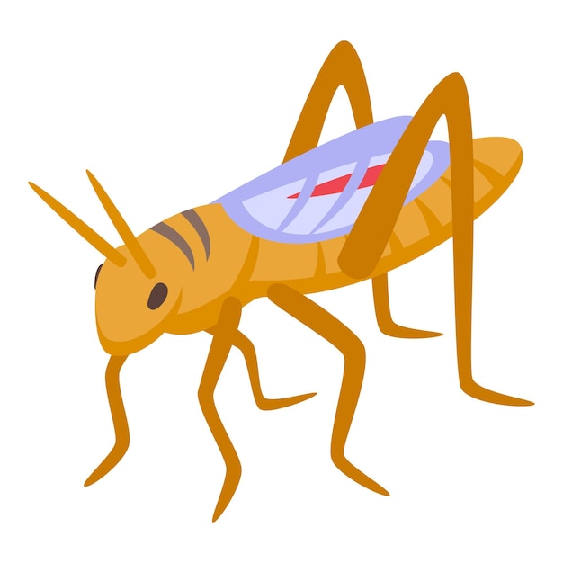 Art grasshopper animal bug icon isometric vector ant insect