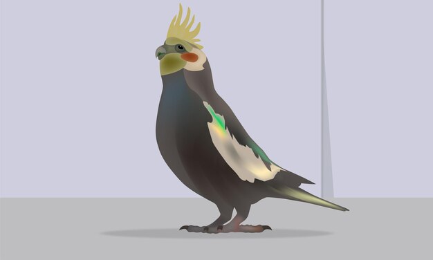 アートイラスト鳥ベクトル