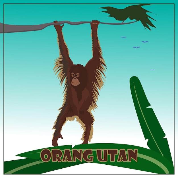 ART AND ILLUSTRATION OF ORANG UTAN