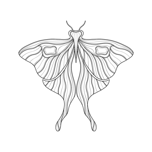 アール ヌーボー様式の基本的な蝶の要素 19201930 年ビンテージ デザイン シンボル モチーフ デザイン分離された白