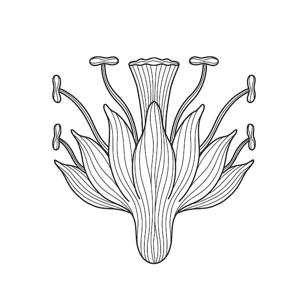 Вектор Основной цветочный элемент в стиле модерн 1920–1930 лет винтажного дизайна символический мотив дизайн изолирован на белом