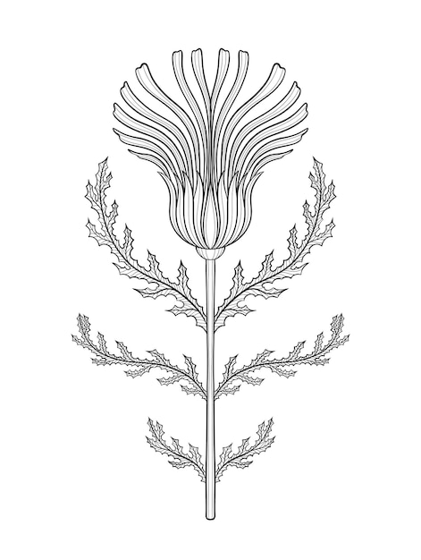 Основной цветочный элемент в стиле модерн 1920–1930 лет винтажного дизайна Символический мотив Дизайн изолирован на белом