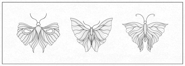 Vector art nouveau style butterfly 19201930 years vintage design symbol motif design