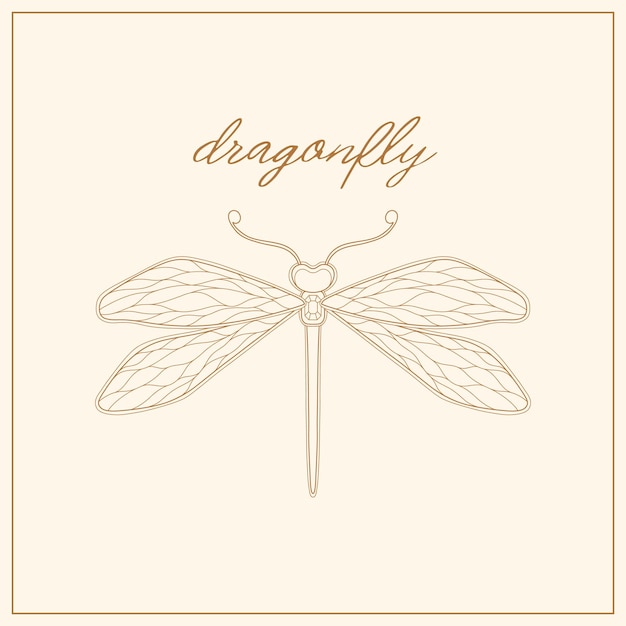 Vector art nouveau style dragonfly insect basic element 19201930 years vintage design symbol motif design