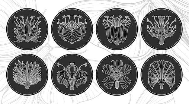 Vector art nouveau style flower plant basic circle element 19201930 years vintage design symbol motif design