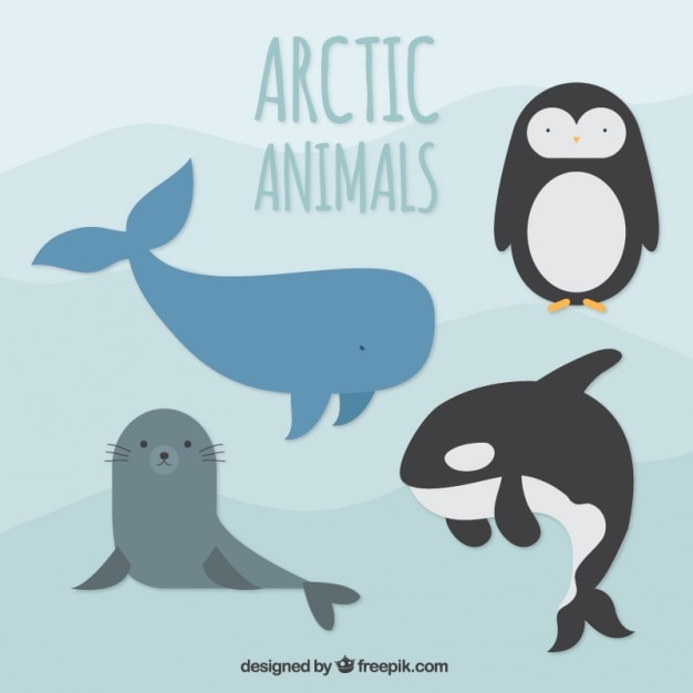 Vector artic animals