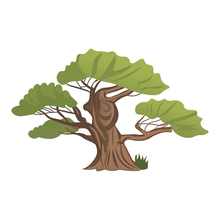 Vector artichelen green element of colorful set a majestic jungle tree comes to life