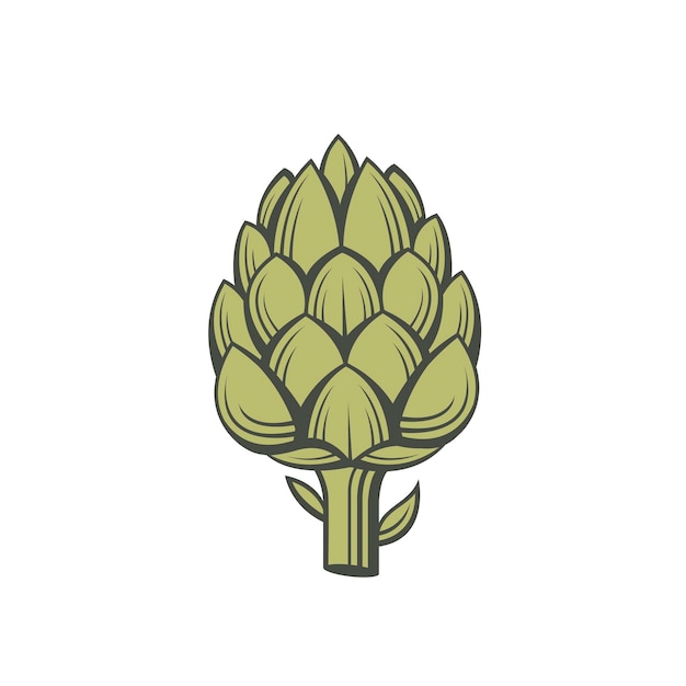 Artichoke vegetable illustration