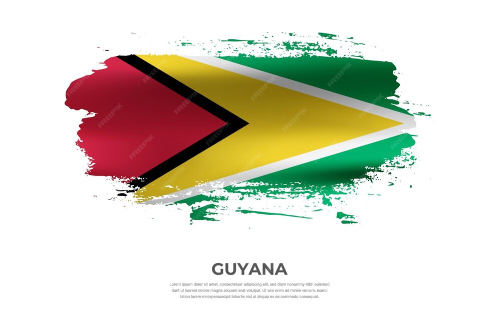 Premium Vector Artistic cloth folded brush flag of Guyana with paint