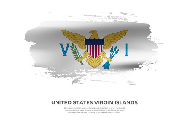 Artistic cloth folded brush flag of United States Virgin Islands with paint smears effect