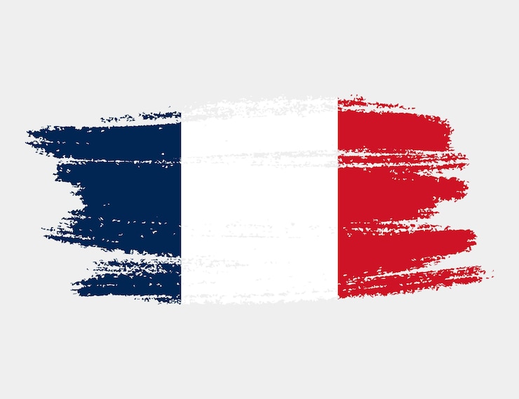 Vector artistic grunge brush flag of france isolated on white background