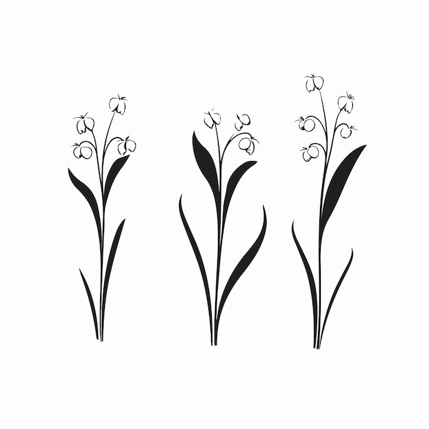 Artistic interpretation of Lily of the valley with delicate linework