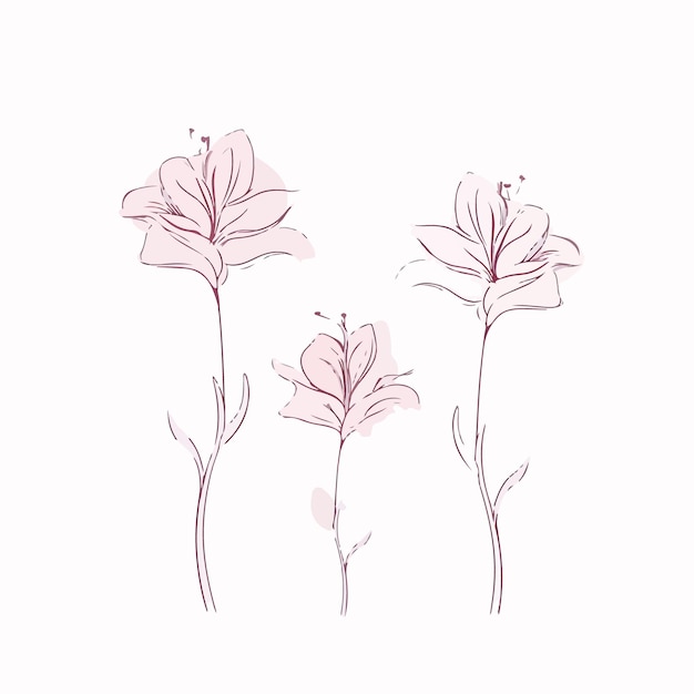 Artistic interpretations of azalea flowers in outline style capturing their essence