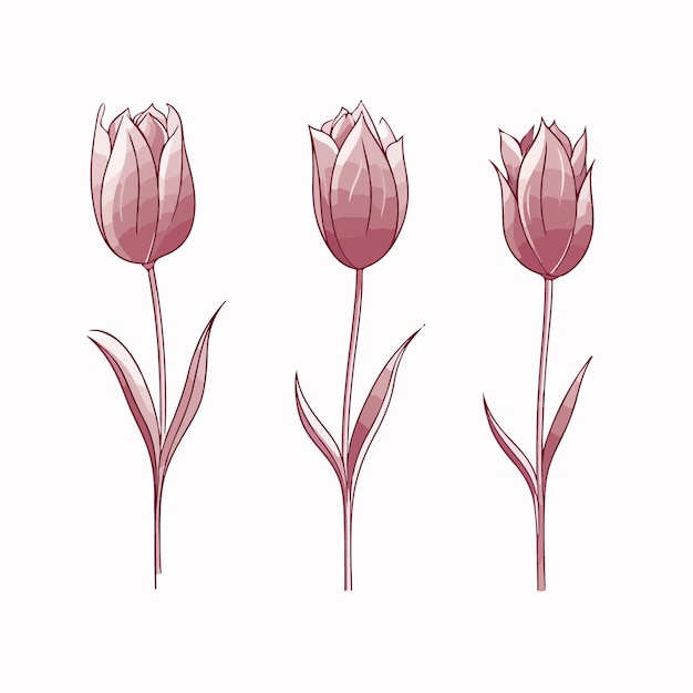 流れる線の芸術的なチューリップのイラスト