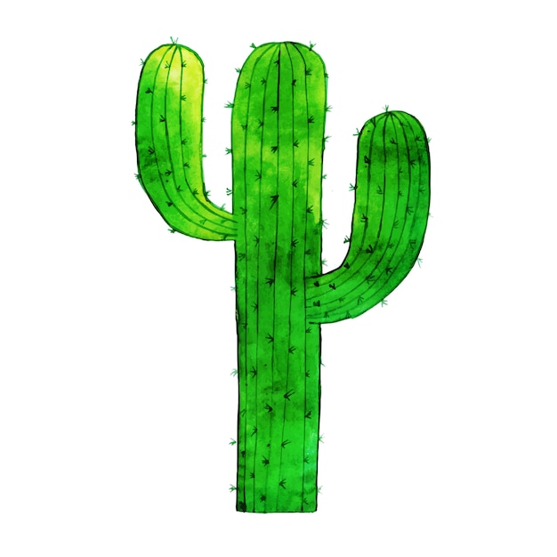 Artistic Watercolor Cactus