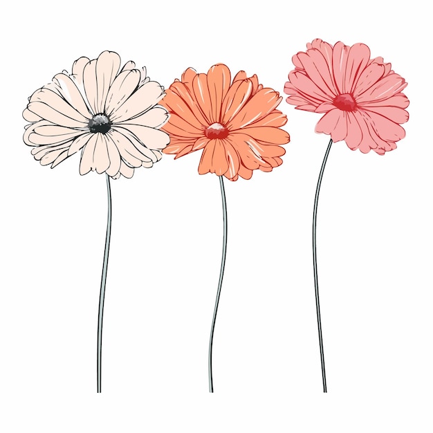 Vector artistieke interpretatie van een gerbera in een schetsstijl