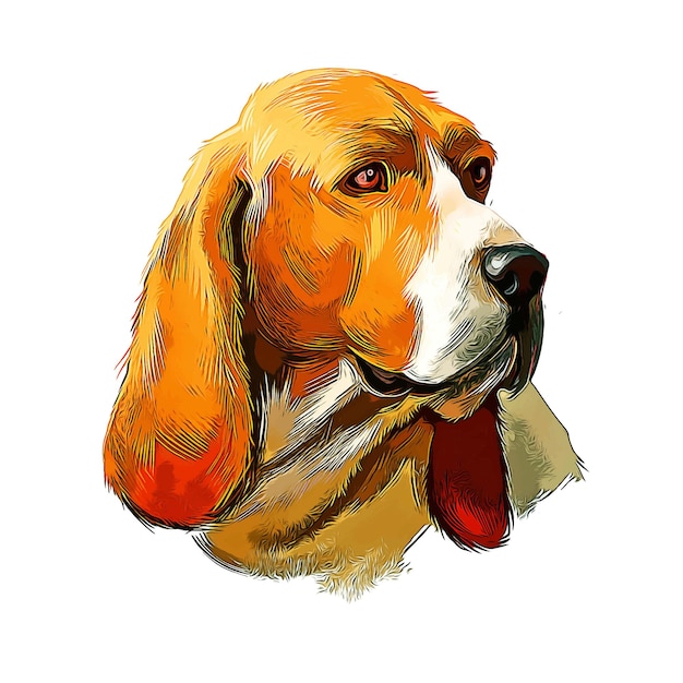 Vector artois hound dog watercolor sketch hand drawn illustration