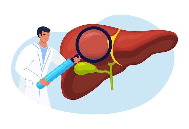 Arts die de lever van de patiënt met vergrootglas onderzoekt. medisch onderzoek. arts diagnose leverziekte, hepatitis a, b, c, d, cirrose, kanker