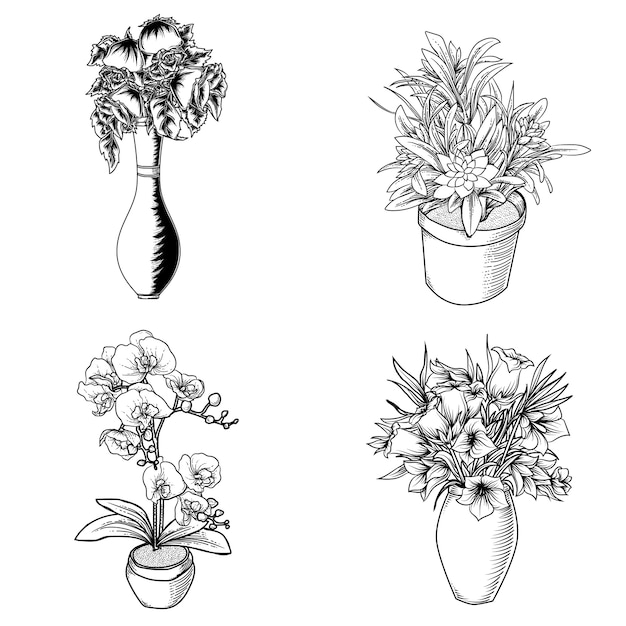 artwork ilustration design black and white handdrawn  flower in a pot premium 