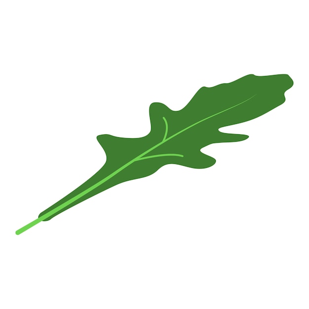 Vector arugula garden leaf icon isometric of arugula garden leaf vector icon for web design isolated on white background
