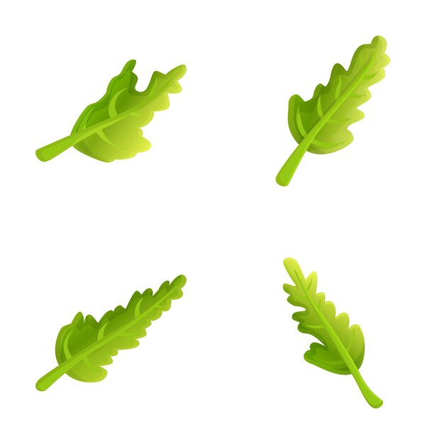 Arugula icons set cartoon vector fresh green arugula leaf