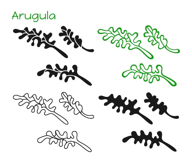 Vettore insalata di arugula icona lineare simbolo di cartone animato set foglia erba silhouette forma scarabocchi foglie design icona