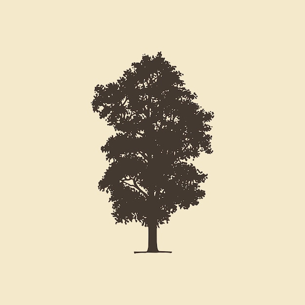Vector ash, hand drawn silhouette. vector sketch of deciduous or coniferous tree.