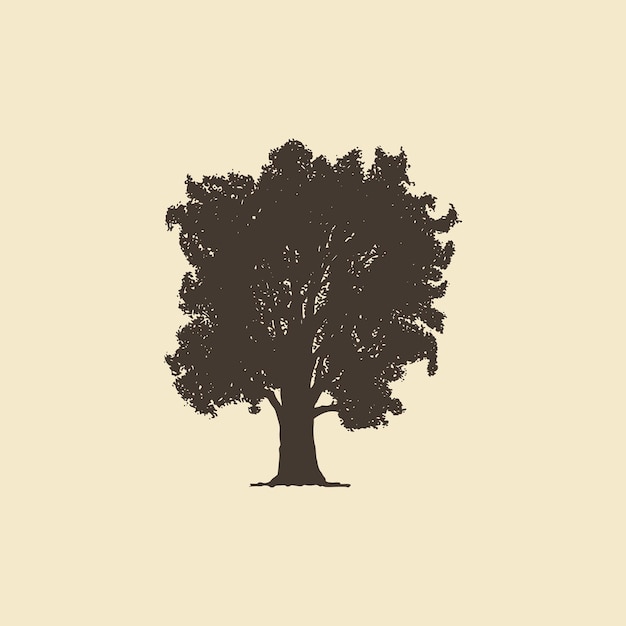 Ash, hand drawn silhouette. vector sketch of deciduous or coniferous tree.