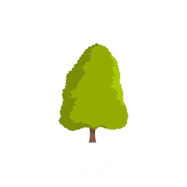 Vector ash tree icon flat illustration of ash tree vector icon isolated on white background