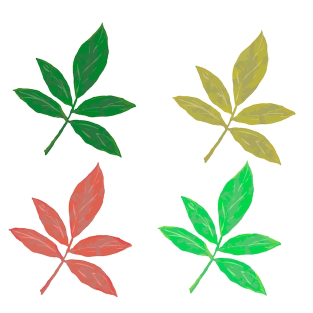 Ash tree leaf vector collection