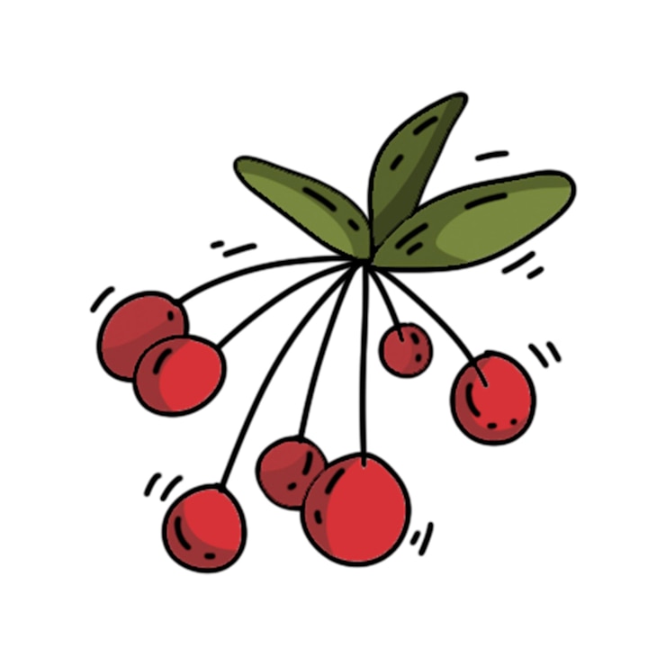 Vector ashberry voor herfstdecoratie schattig herfstobject