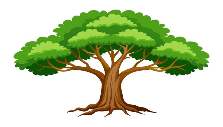 Vector ashoka tree isolated flat vector illustration on white background