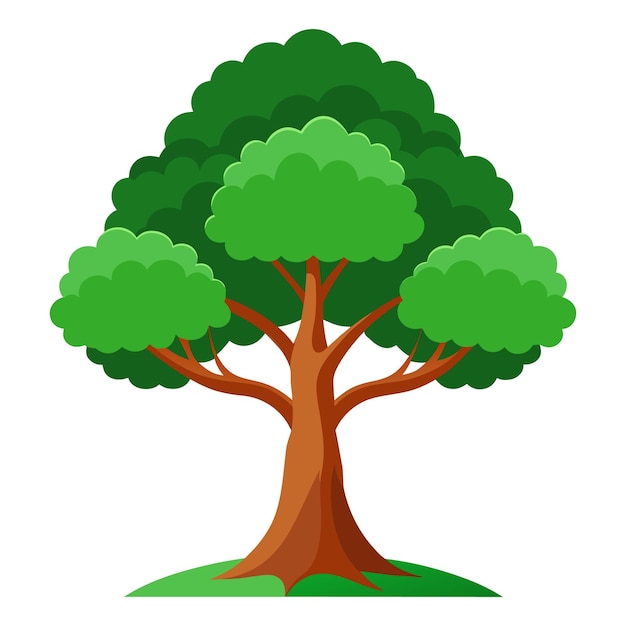 Ashoka tree Isolated flat vector illustration