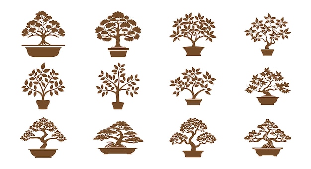 Asian Bonsai Tree Vector Icon