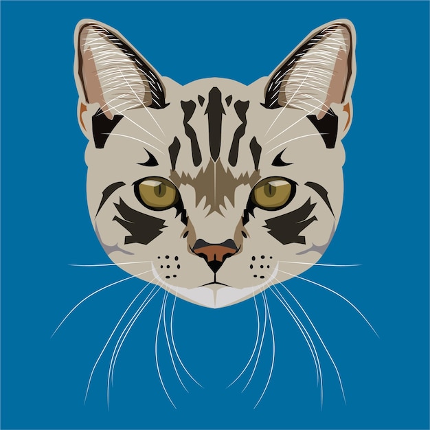 Vector asian cat head