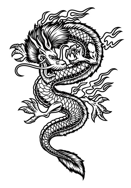 A Asian Dragon Illustration Isolated On White Background.