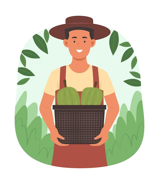 asian farmer man harvest fresh organic durians from tropical fruit garden