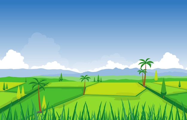 Vector asian rice field paddy plantation agriculture landscape illustration