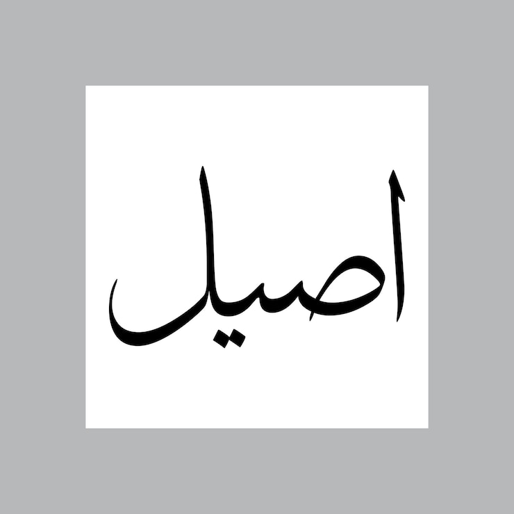 Vector asil muslim boy name sulus font arabic calligraphy
